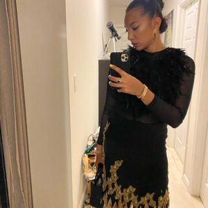 Black feather mesh blouse with a cache silk skirt